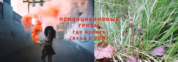 ГАЛЛЮЦИНОГЕННЫЕ ГРИБЫ Нягань