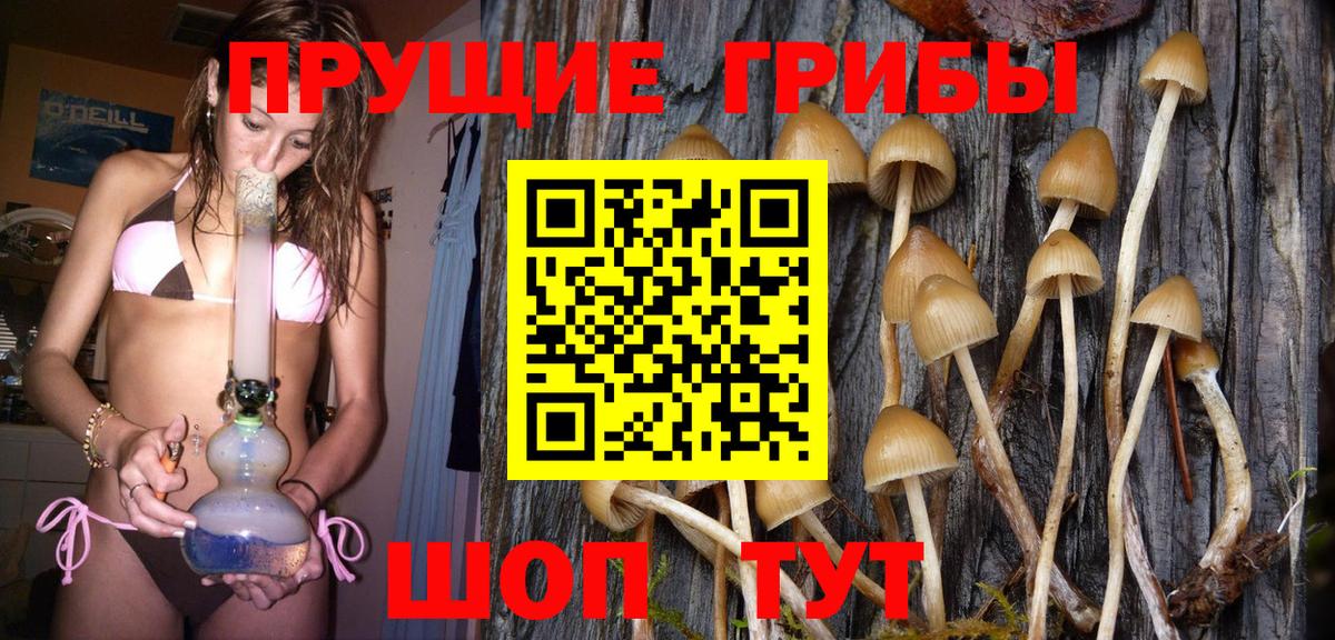 Галлюциногенные грибы MAGIC MUSHROOMS  Вход с VPN  Мытищи 